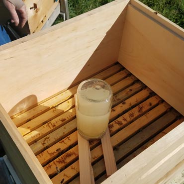 Feeder inside the hive