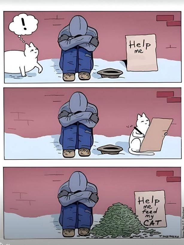 2e2e83d2a943c37c8562ac92e292376c.jpg