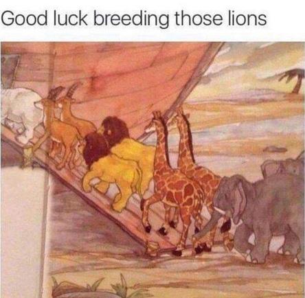 7a14a2d4dee759186973531b0385a3e6.jpg