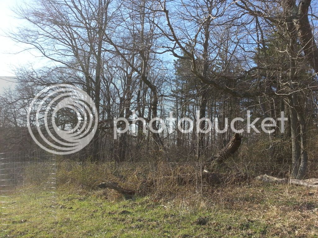 20160318_175650_zpsvgy0nwxp.jpg