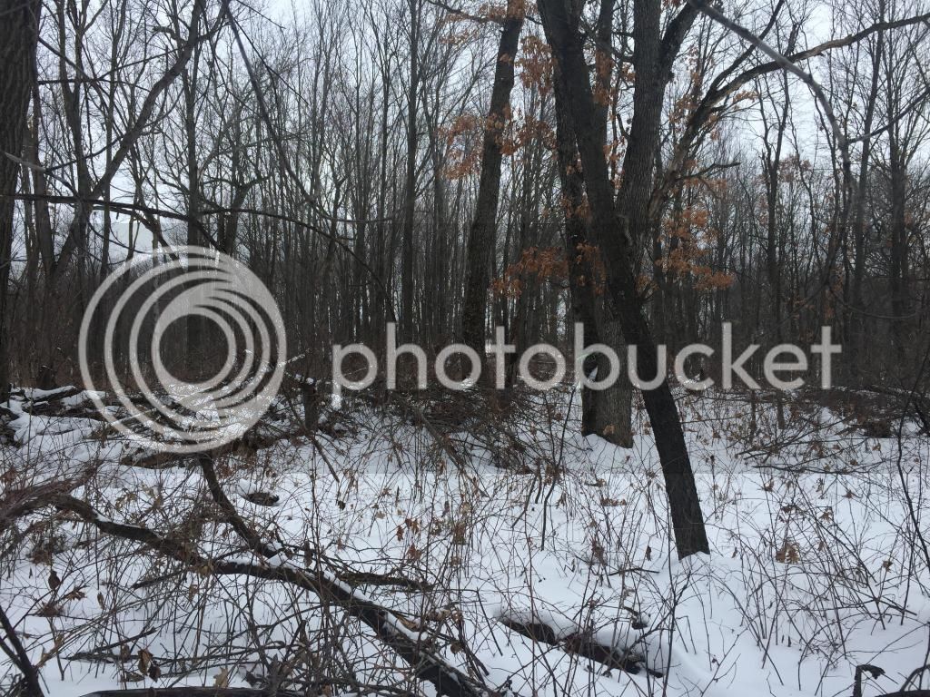 IMG_1018_zps482cd633.jpg