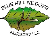 bluehillwildlifenursery.com