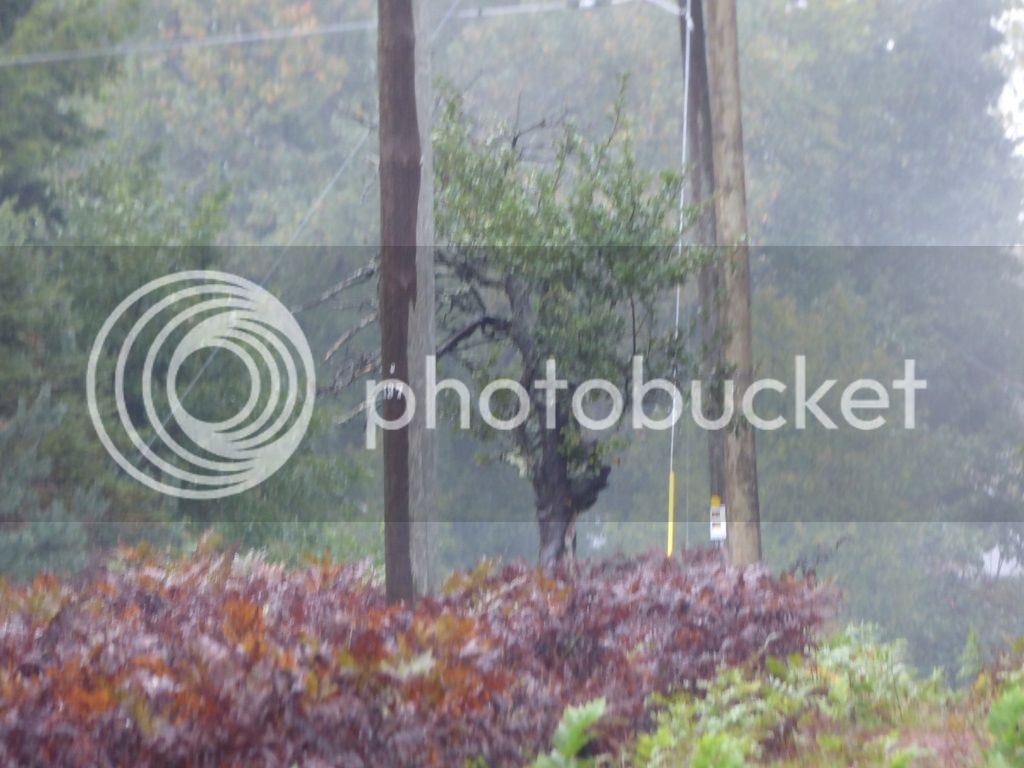 P1010099_zpsrop2dqxn.jpg