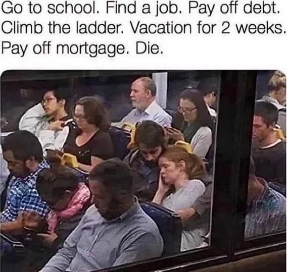 cf5f20258dda491f73f1b3a209e2d154.jpeg