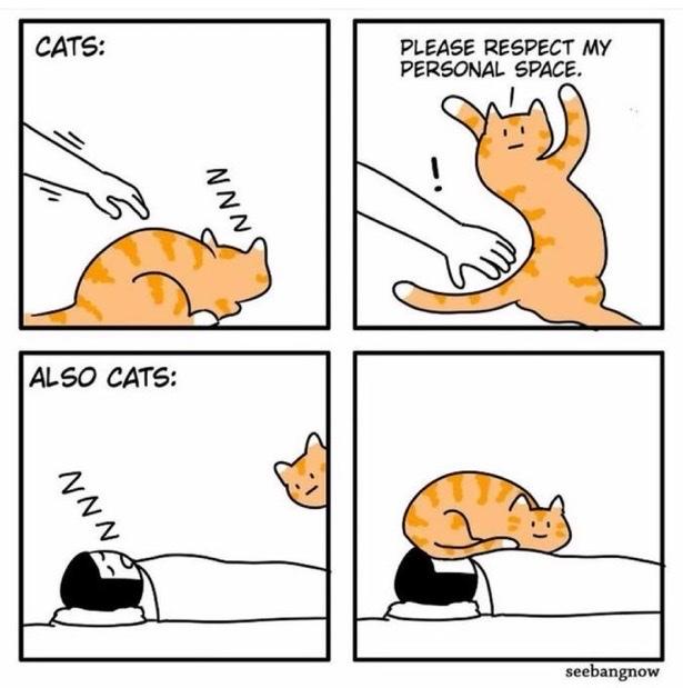 49875965c363022755cea696ec6e509f.jpg