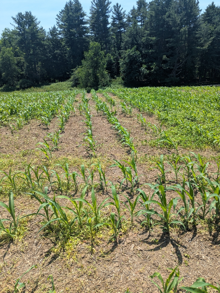 c615e3367581774504fd447e01779121.jpg