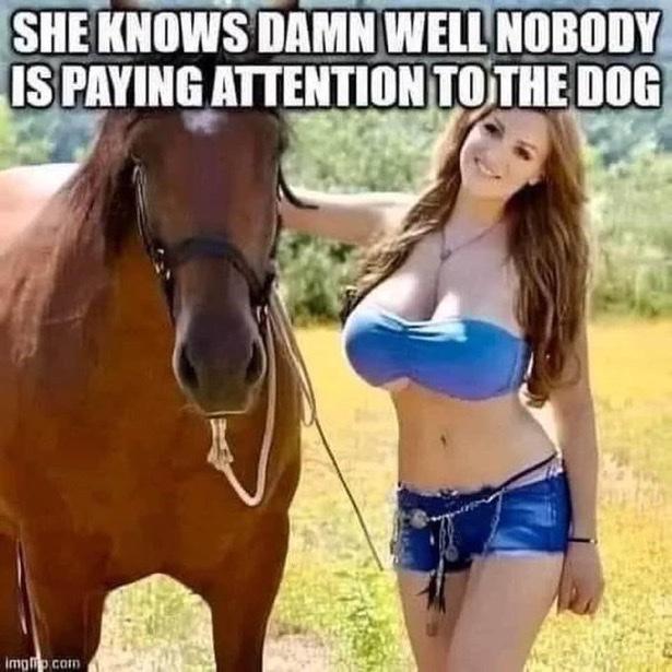 61abc1b93b25770b70392ea422b24fb9.jpg