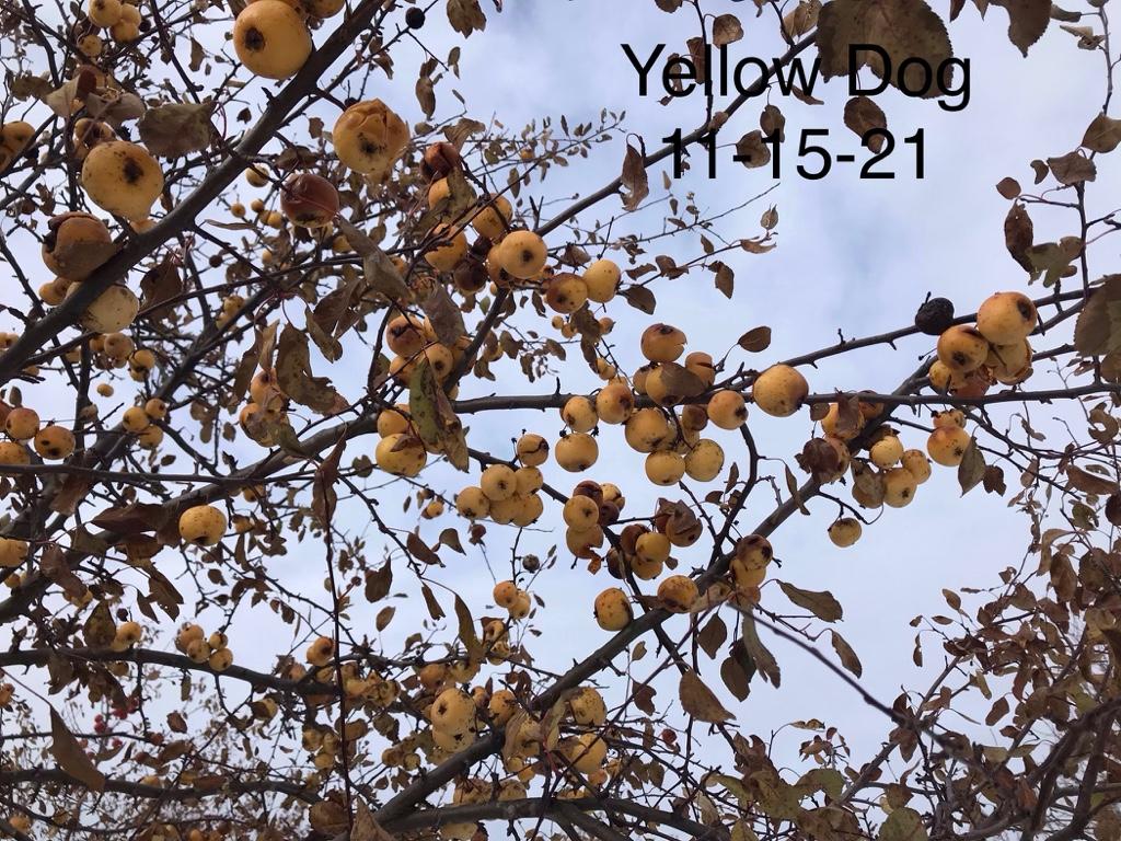 d70e166999d9b38f1d54924f8244195f.jpg