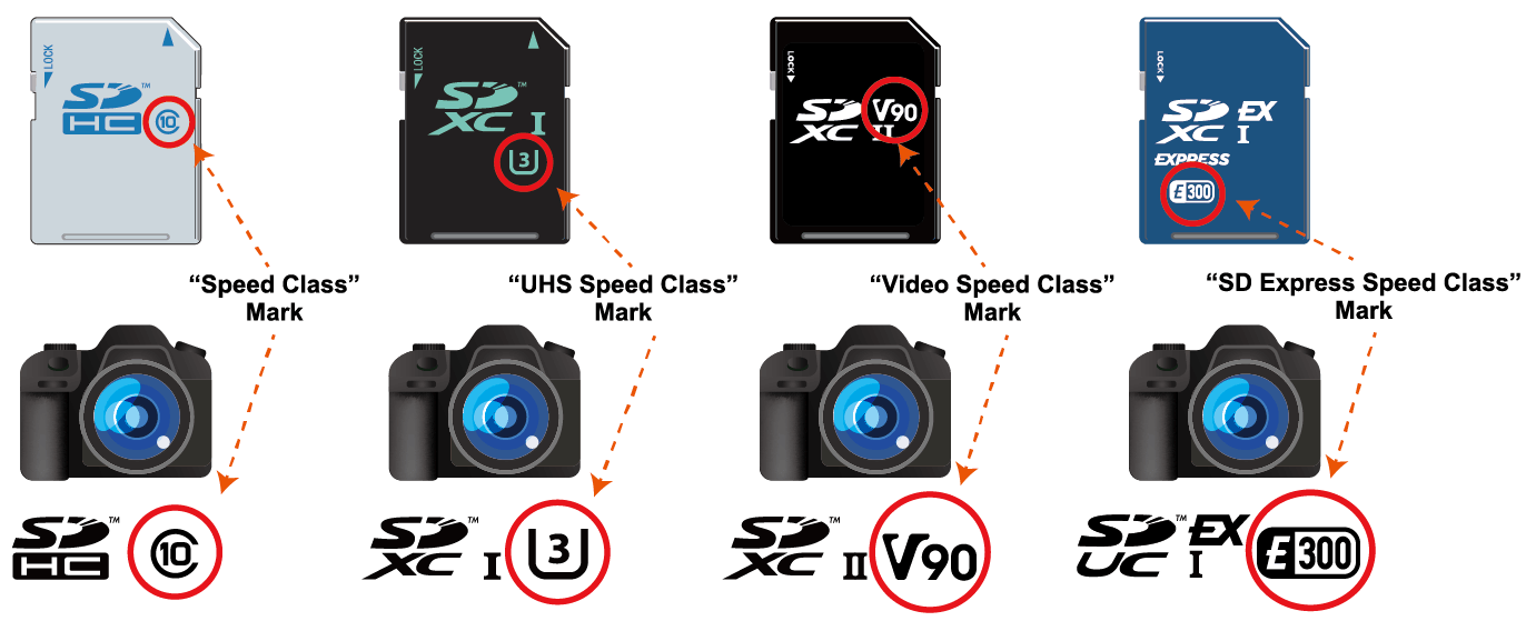 www.sdcard.org