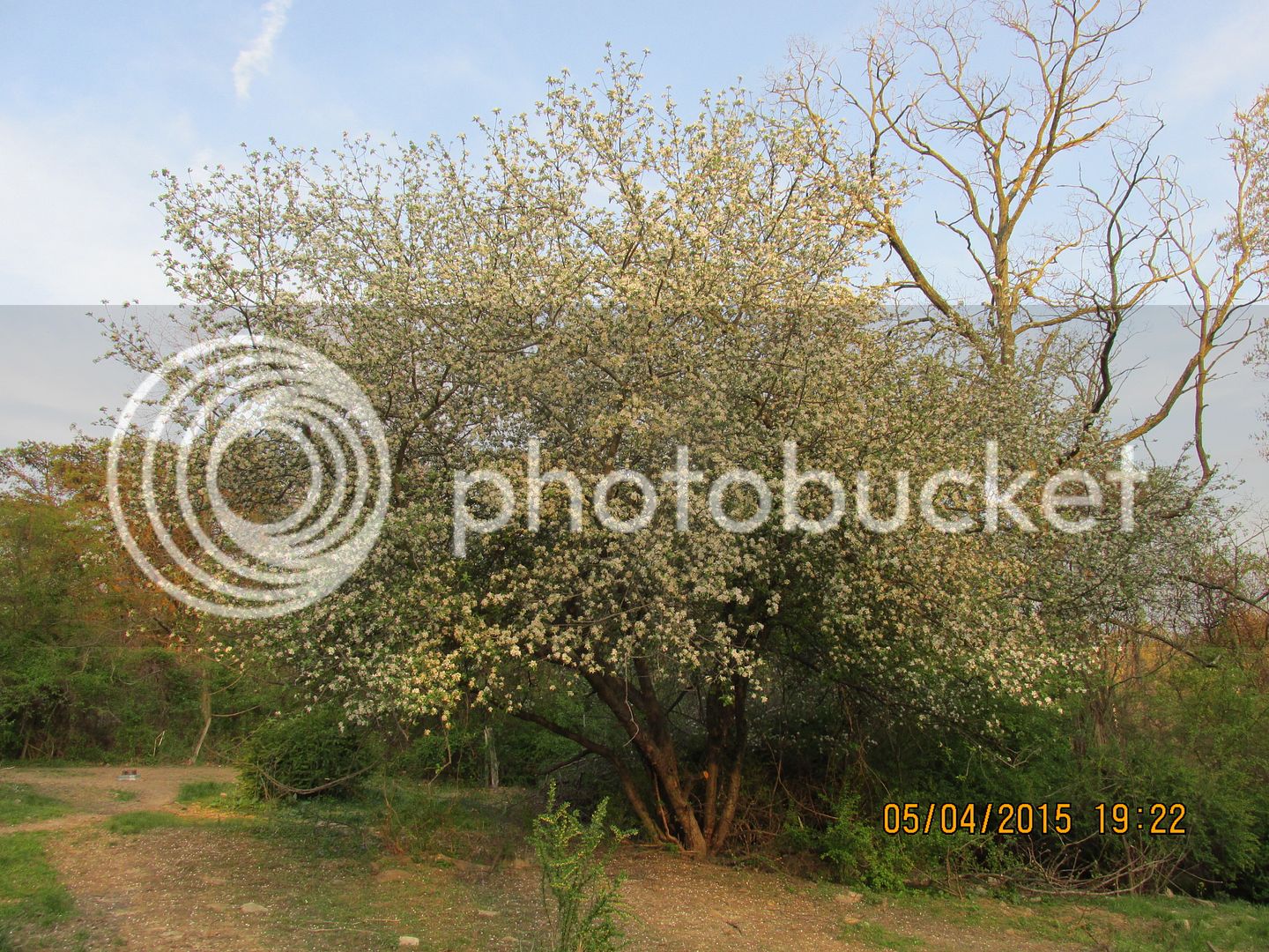 5-4-15%20C%20004_zpsfm3bozc5.jpg