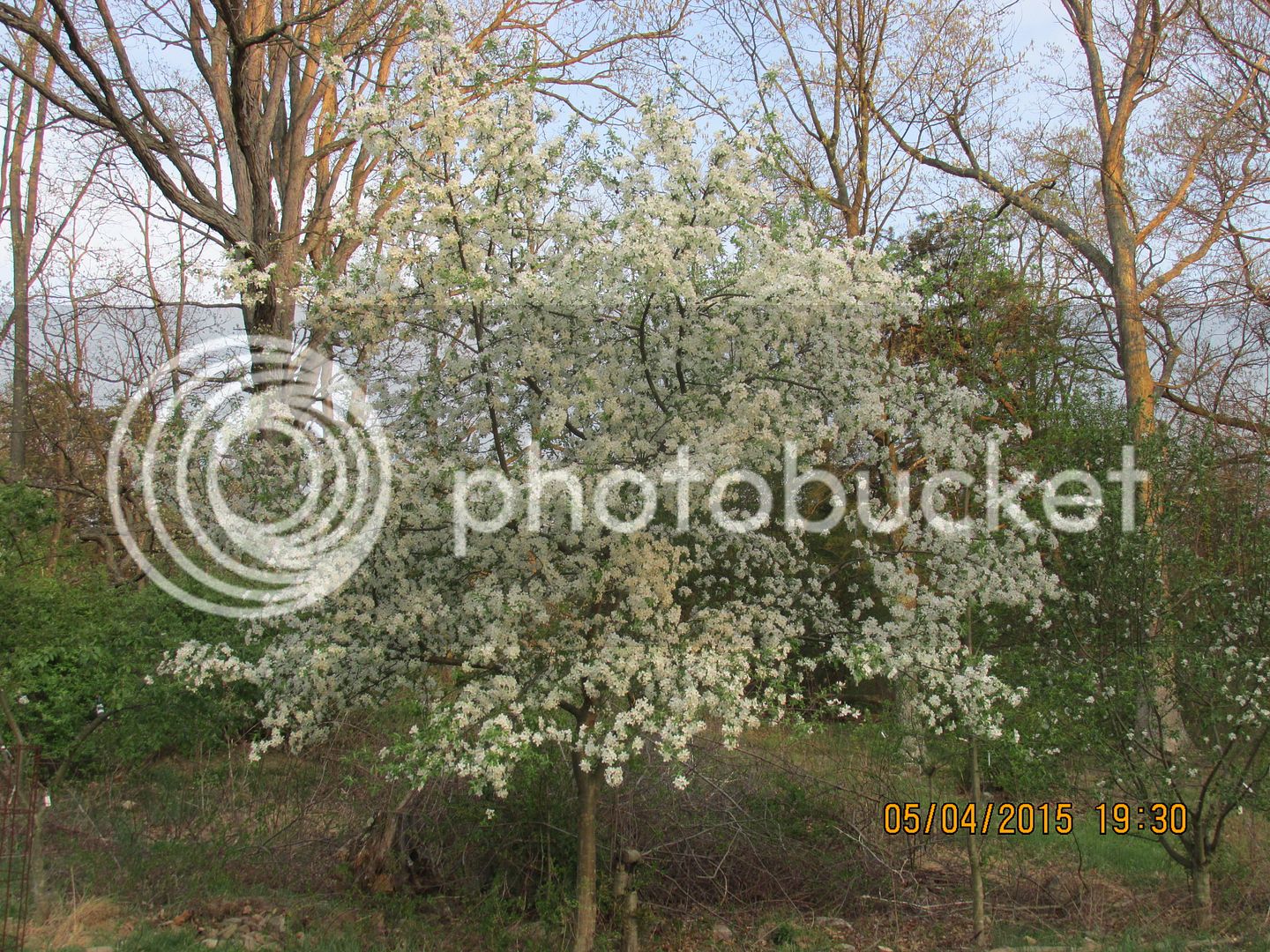 5-4-15%20C%20008_zpsouiyjnxu.jpg