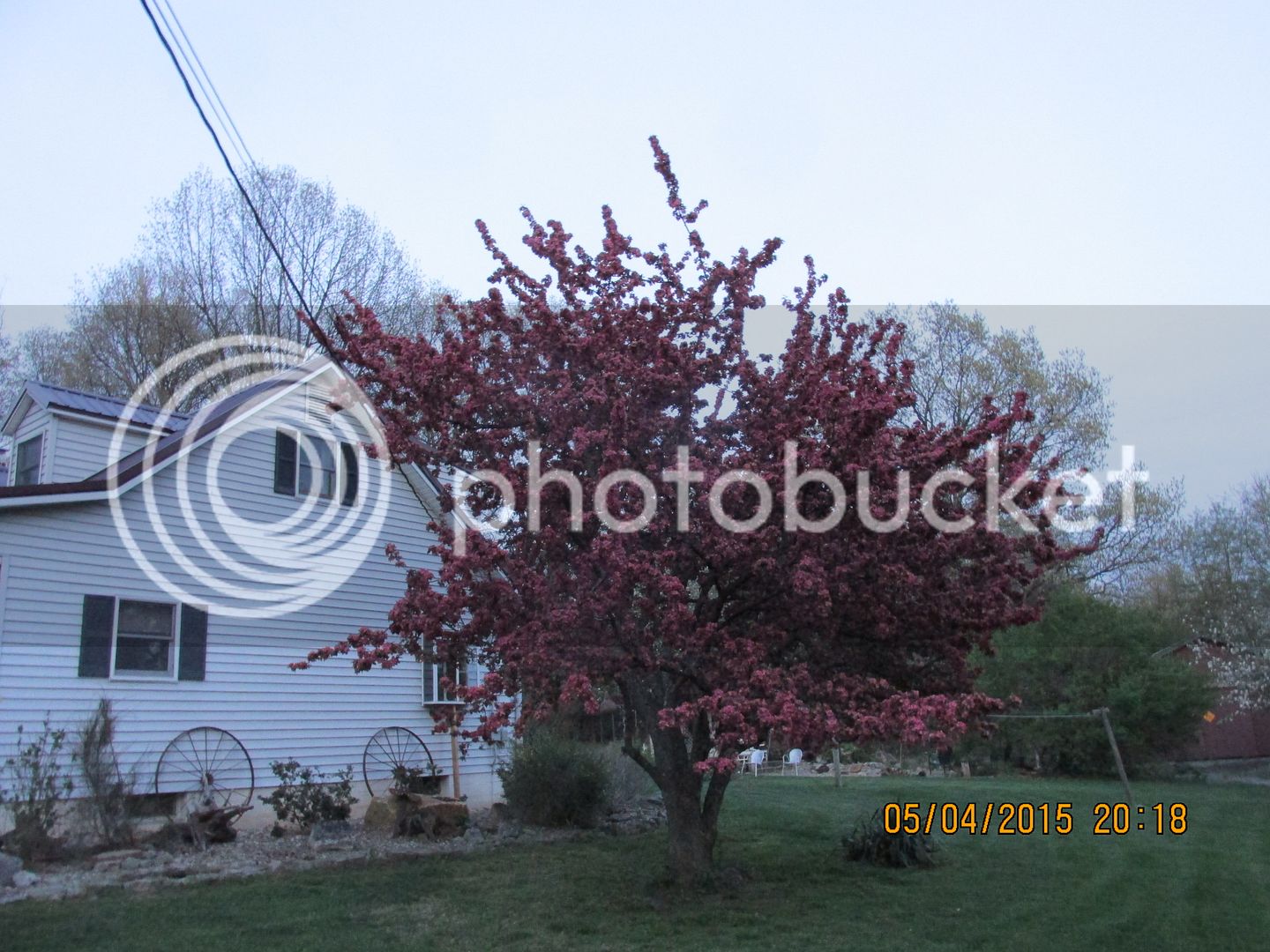 5-4-15%20C%20013_zps6acuxvqk.jpg