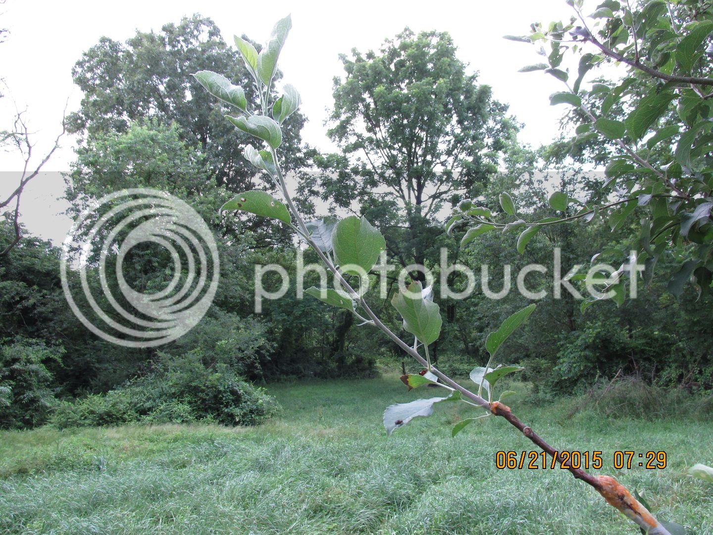 6-21-15%20046_zpsszkzgbdl.jpg
