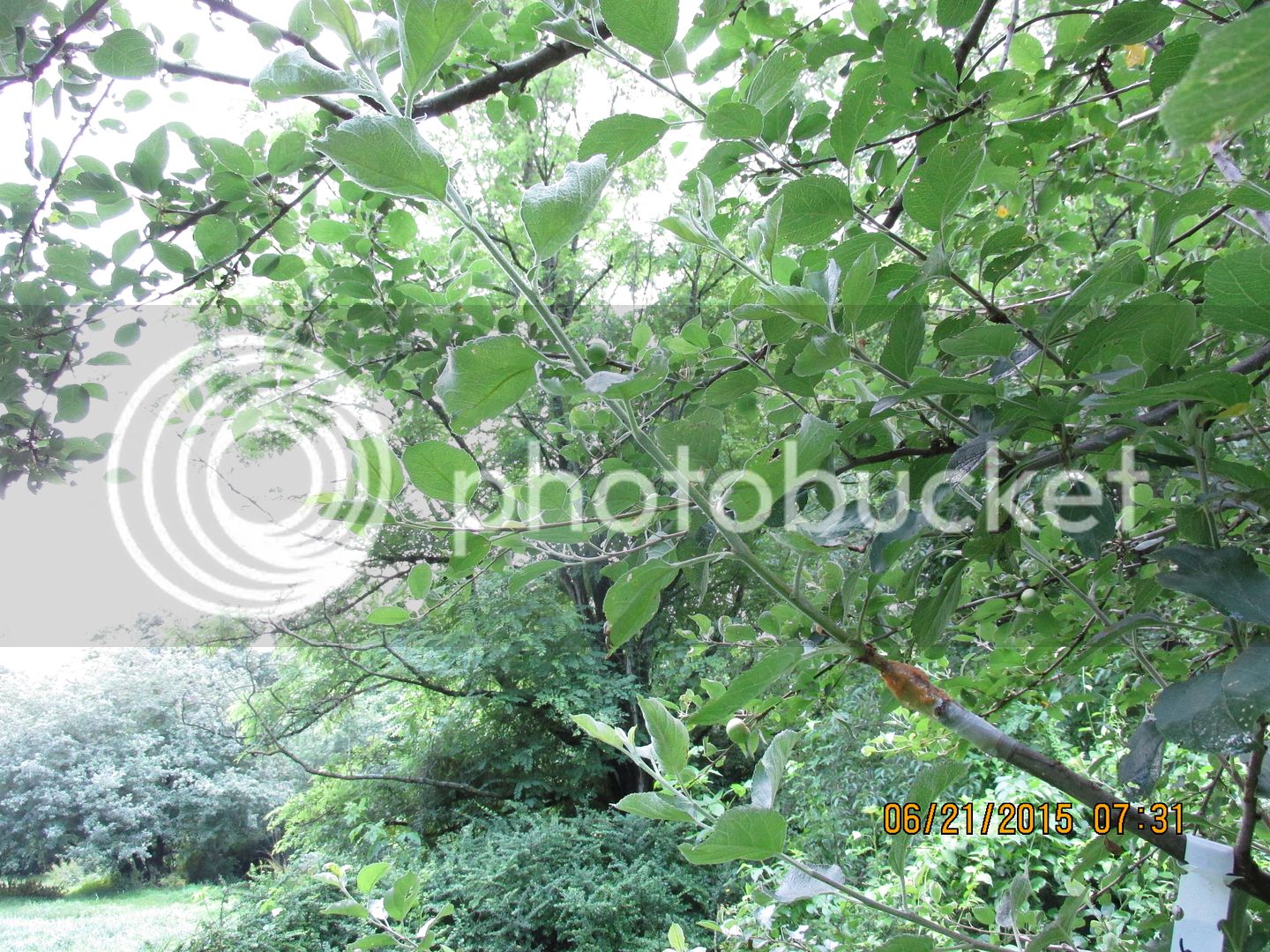 6-21-15%20048_zpsza02pxul.jpg