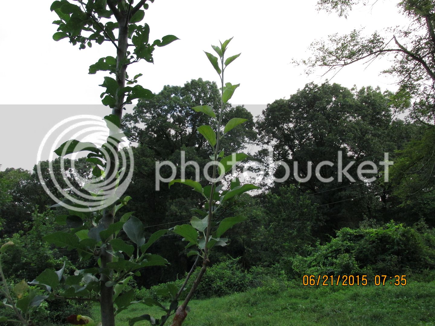 6-21-15%20053_zpsps9ioowo.jpg
