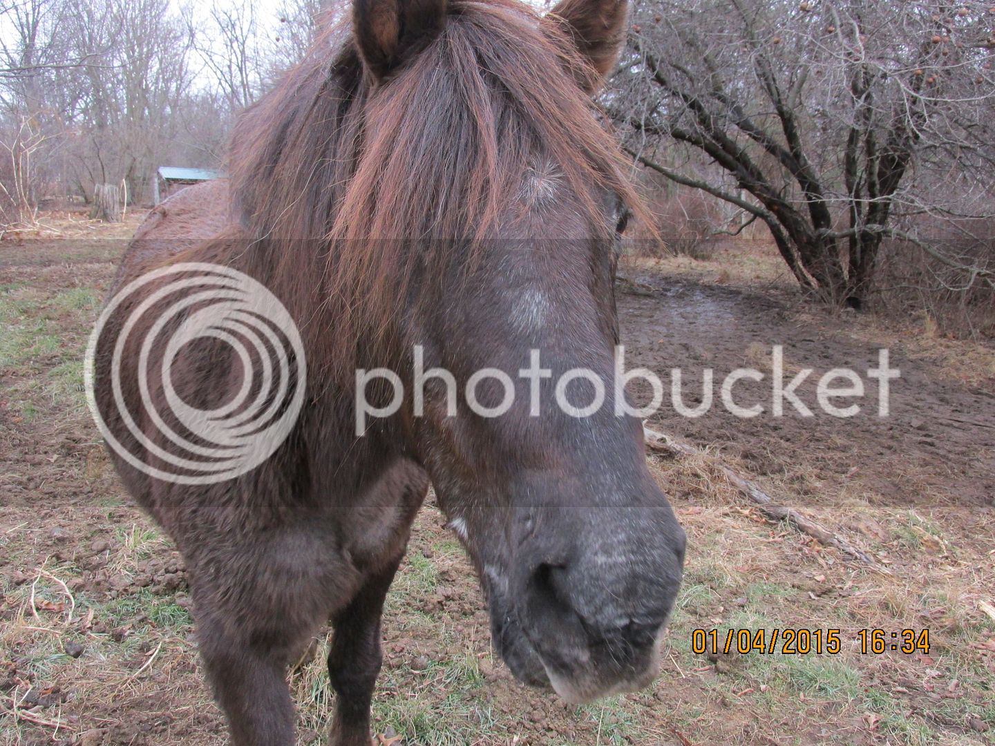 Sinkholeapple1-4-15017_zps216da9f1.jpg