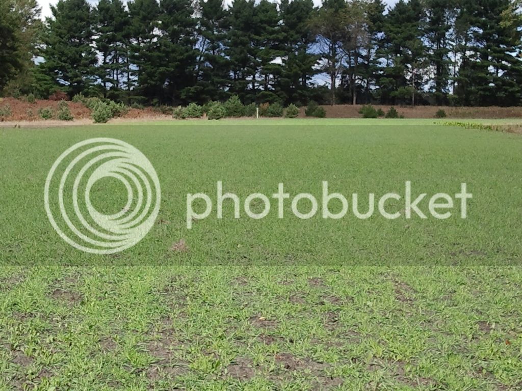 4d83d761-ebf8-47ec-b452-0d24e4795a50_zpsouak12ky.jpg