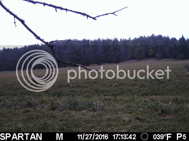 D1B71B9C-AA86-4051-8825-04CCC6ADA6D7_zpspkg4hpst.jpg
