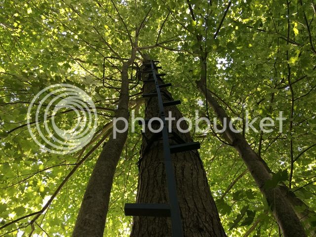 58AFFC42-698C-4BE1-8CF3-FAB7C989112E.jpg