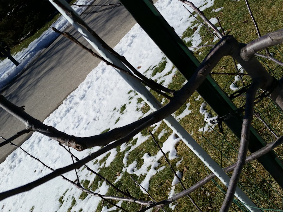 CameraZOOM-20160207131409014.jpg
