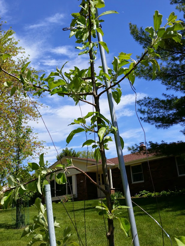 CameraZOOM-20150523143030610.jpg
