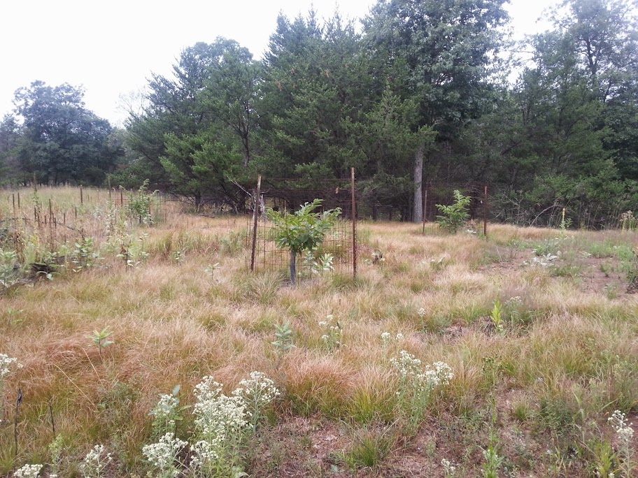image20140830085210755.jpg