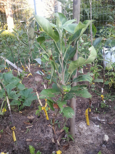 image20140817185523455.jpg
