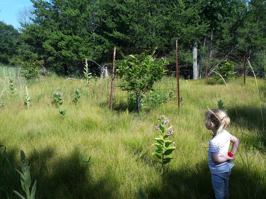 CameraZOOM-20150719092829959.jpg