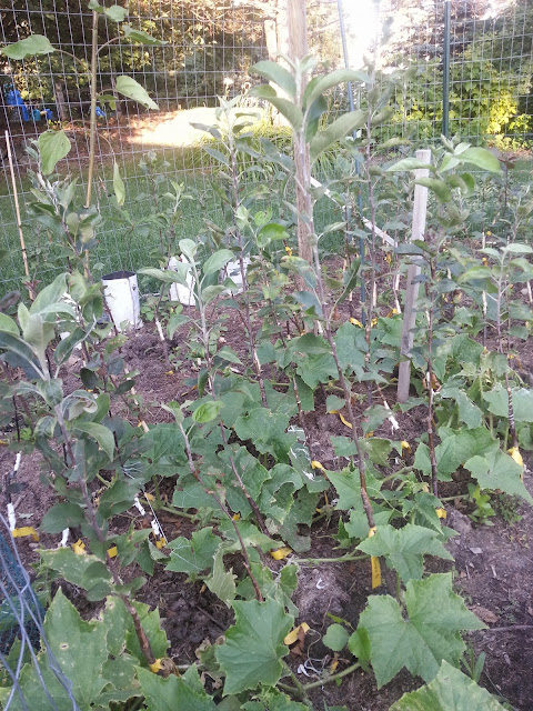 image20140817185513516.jpg
