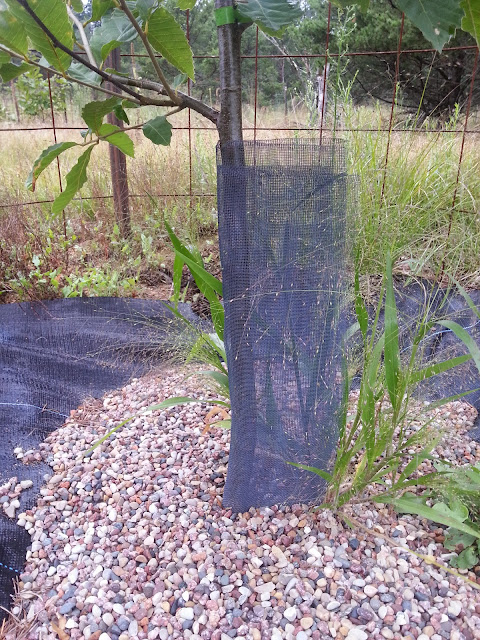 image20140830085357110.jpg