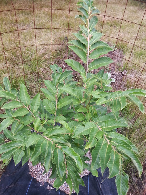 image20140830085247525.jpg