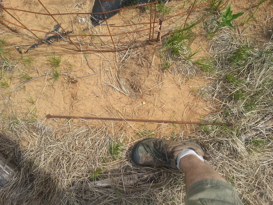 CameraZOOM-20140607101049607.jpg