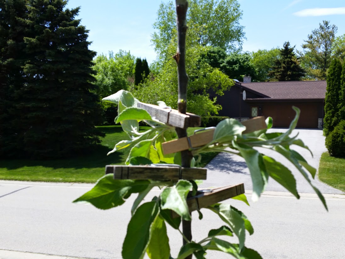 CameraZOOM-20150523133946973.jpg