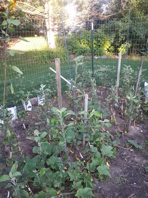 image20140817185517229.jpg