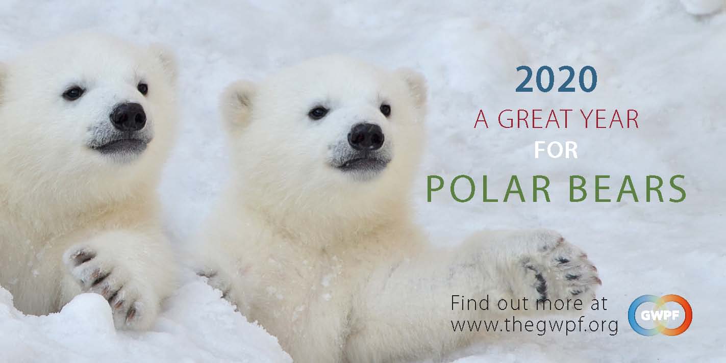 polarbearscience.com