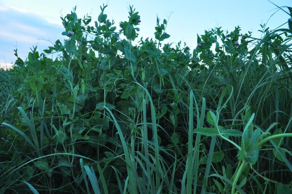 www.agriculture.com