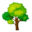 www.gonativetrees.com