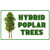 www.hybridpoplars.com